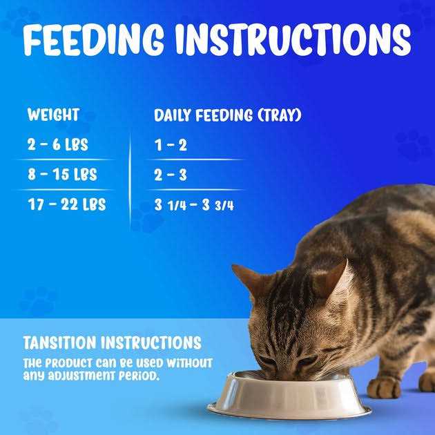 Wet Cat Food F918