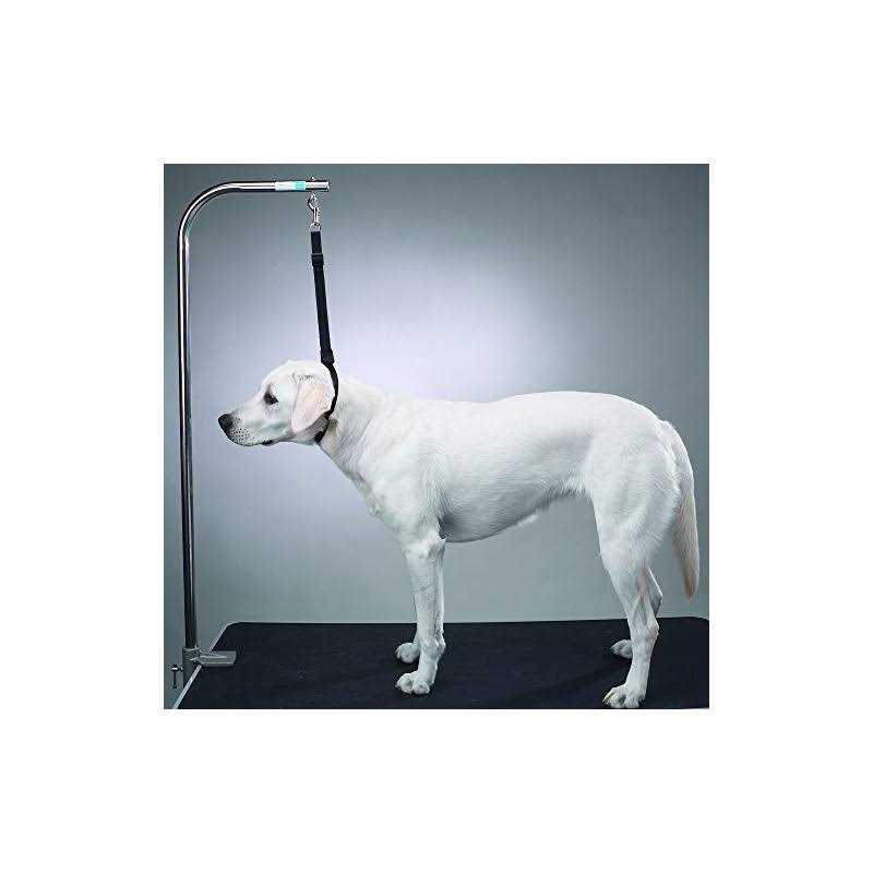 Nylon Table Harness H7554