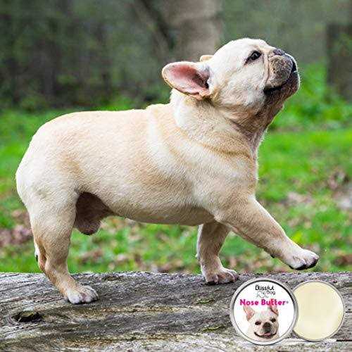 Bulldog Unscented Nose Butter N60552