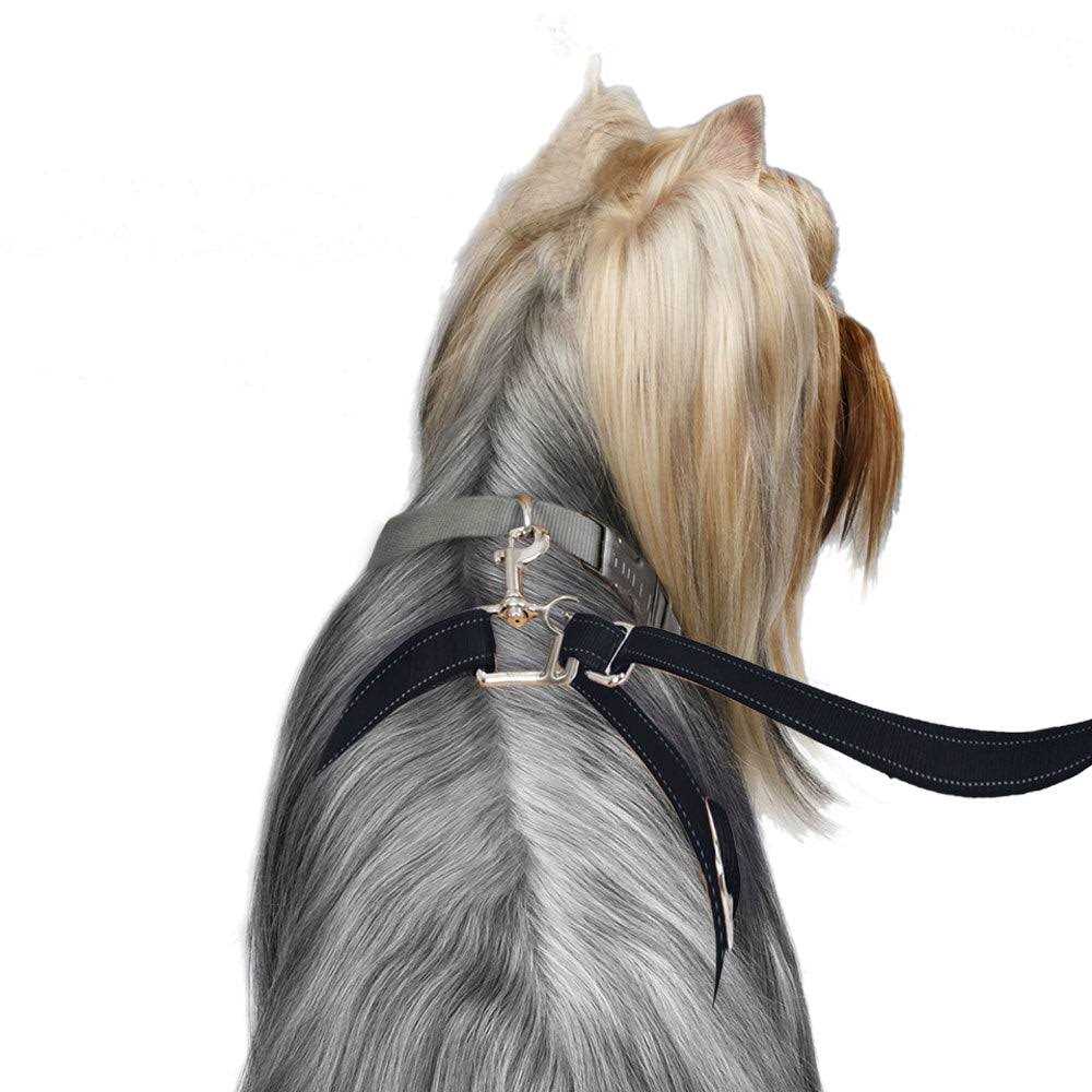 Dog Leash P672897