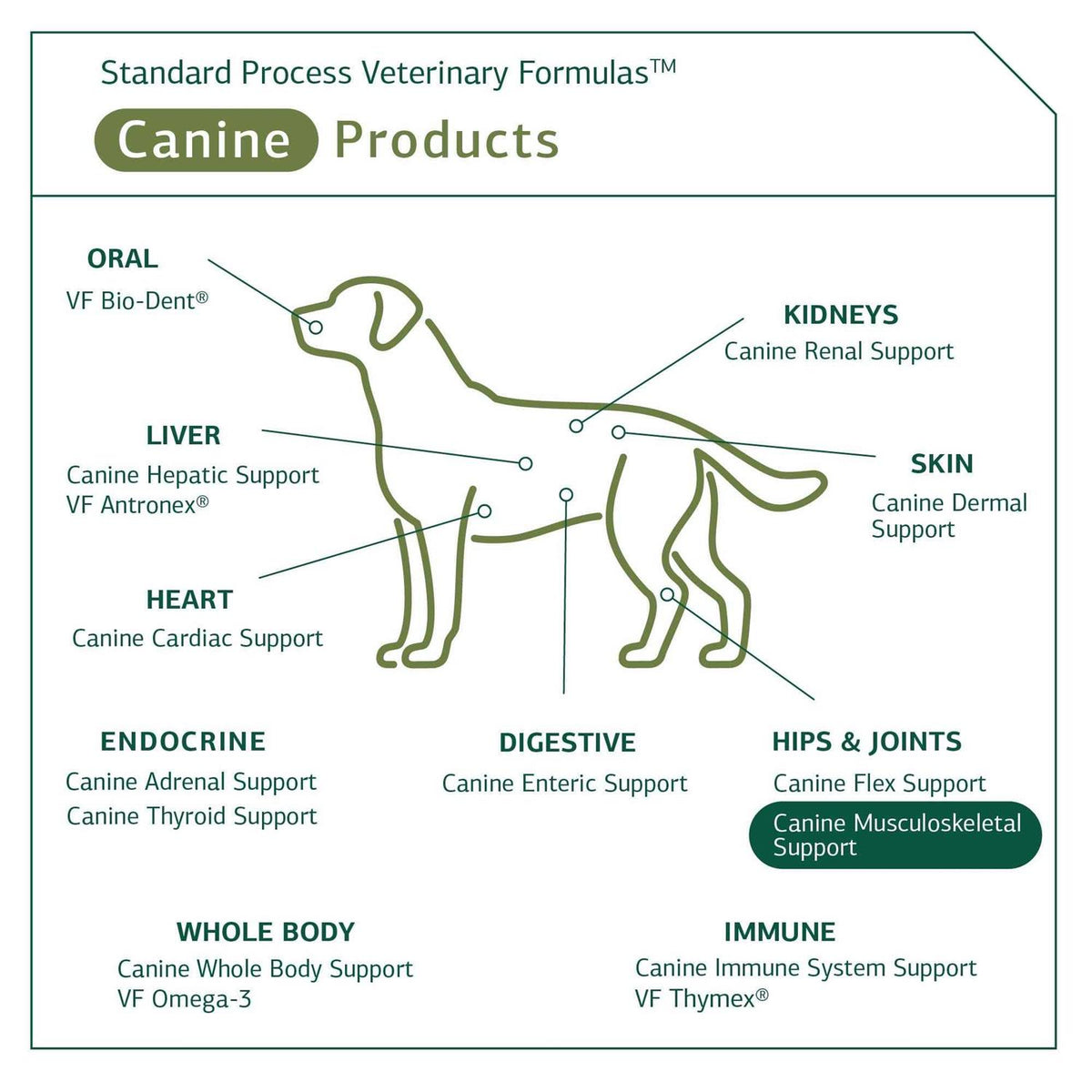Canine Musculoskeletal Support Pet Supplies R519188