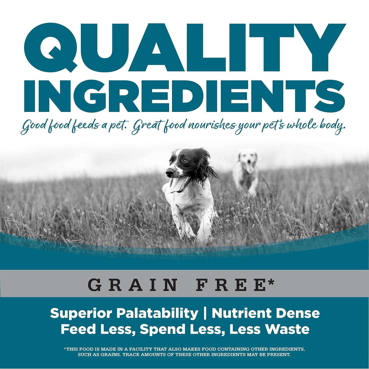 Grain Free Chicken & Pea Dry Dog Food Z6869